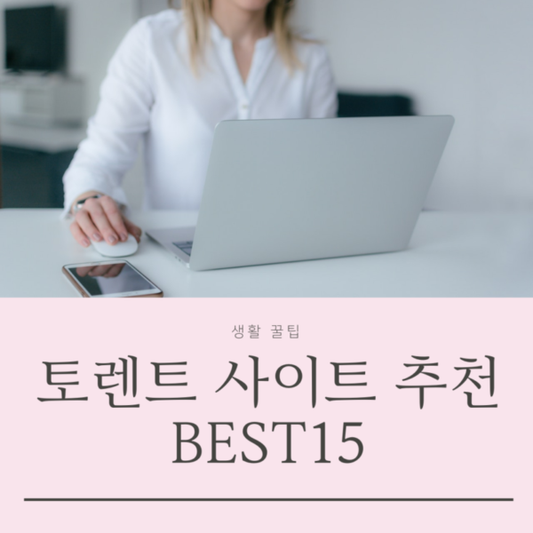 토렌트 사이트 추천 순위 BEST15